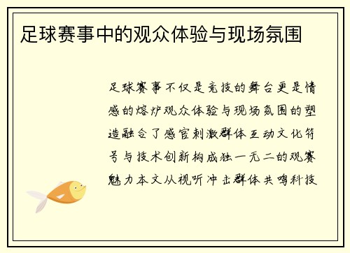 足球赛事中的观众体验与现场氛围