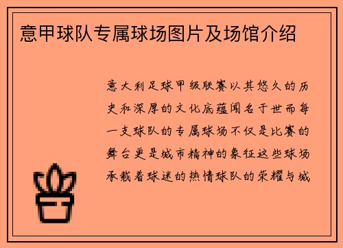 意甲球队专属球场图片及场馆介绍